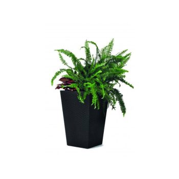   Rattan Planter S 23,6 L műanyag kerti virágláda antracit szürke