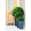 Rattan Planter S 23,6 L műanyag kerti virágláda antracit szürke