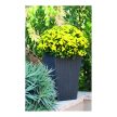 Rattan Planter S 23,6 L műanyag kerti virágláda antracit szürke