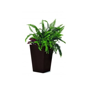   Rattan Planter S 23,6 L műanyag kerti virágláda whiskey barna