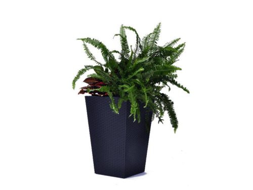 Rattan Planter M 55,4 L műanyag kerti virágláda antracit szürke