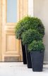 Rattan Planter M 55,4 L műanyag kerti virágláda antracit szürke