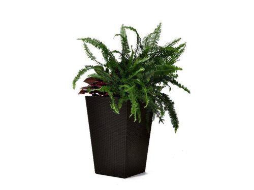 Rattan Planter M 55,4 L műanyag kerti virágláda whiskey barna