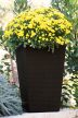 Rattan Planter M 55,4 L műanyag kerti virágláda whiskey barna
