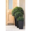 Rattan Planter M 55,4 L műanyag kerti virágláda whiskey barna
