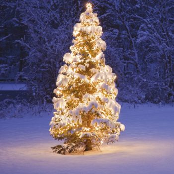   Kültéri toldható fényfüzér, meleg fehér, 100 LED, 10 m