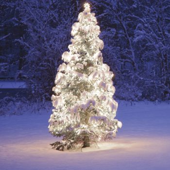   Kültéri toldható fényfüzér, hideg fehér, 100 LED, 10 m