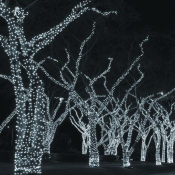   Kültéri toldható jégszikrázó fényfüzér, hideg fehér, 10 m, 100 LED