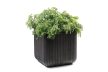 Cube Planter M műanyag kerti virágláda antracit szürke