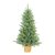 Douglas Mini műfenyő 90 cm