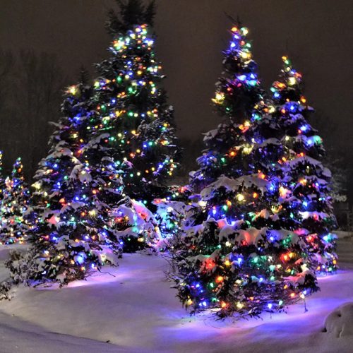 Crystalline toldható LED fényfüzér, 800 cm, 100 db MULTI LED, átlátszó kábel, Kül- és beltéri